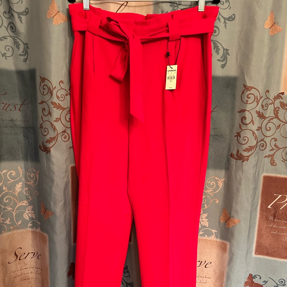 Express Ankle Pants